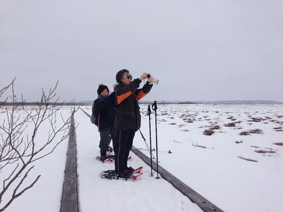 釧路湿原スノーシューツアー 冬の絶景や動物に出会えます 送迎付 1 3月 釧路市 釧路 阿寒 摩周の観光 オプショナルツアー専門 Veltra ベルトラ 釧路湿原スノーシューツアー 冬の絶景や動物に出会えます 送迎付 1 3月 釧路市 釧路 阿寒 摩周の観光 オプショナルツアー専門 Veltra ベルトラ