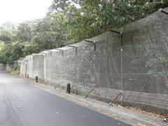 環境教育プログラム8
