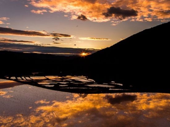草木染体験 奈良 明日香の里でバンダナやストールを作る＜明日香村＞