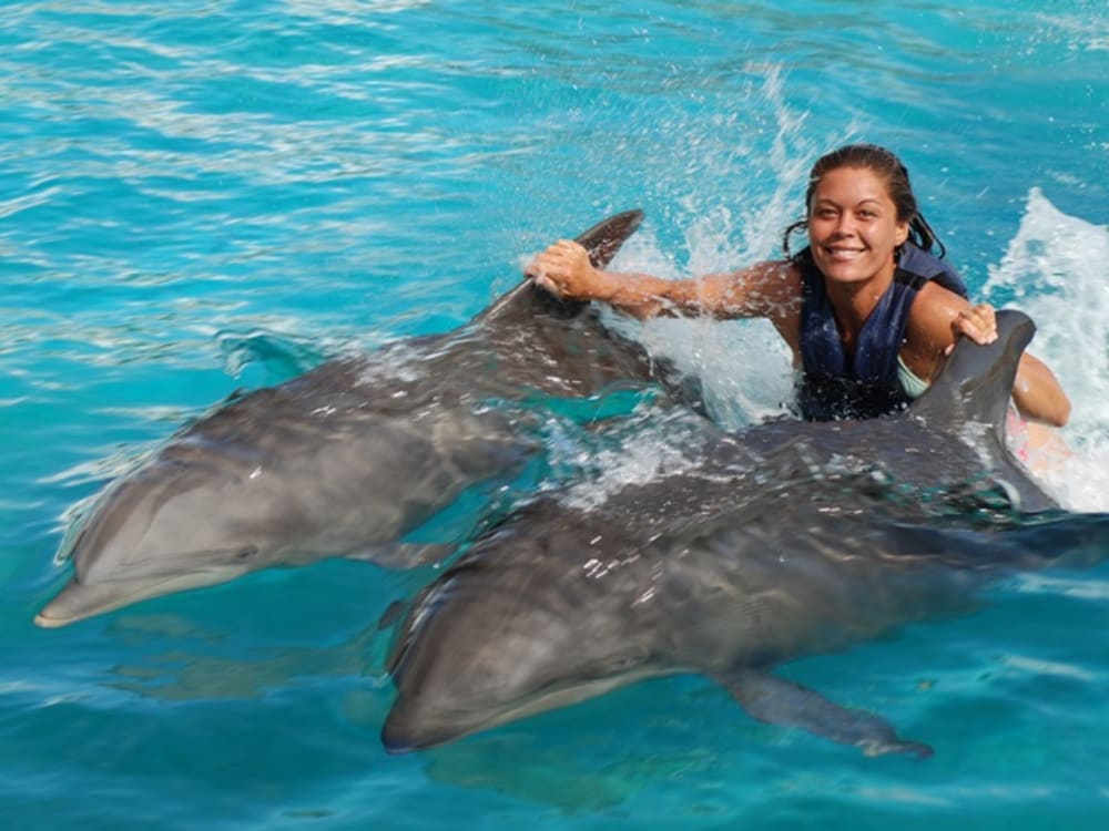 We Play with Dolphins on a Tropical Island! Kids Fun TV 