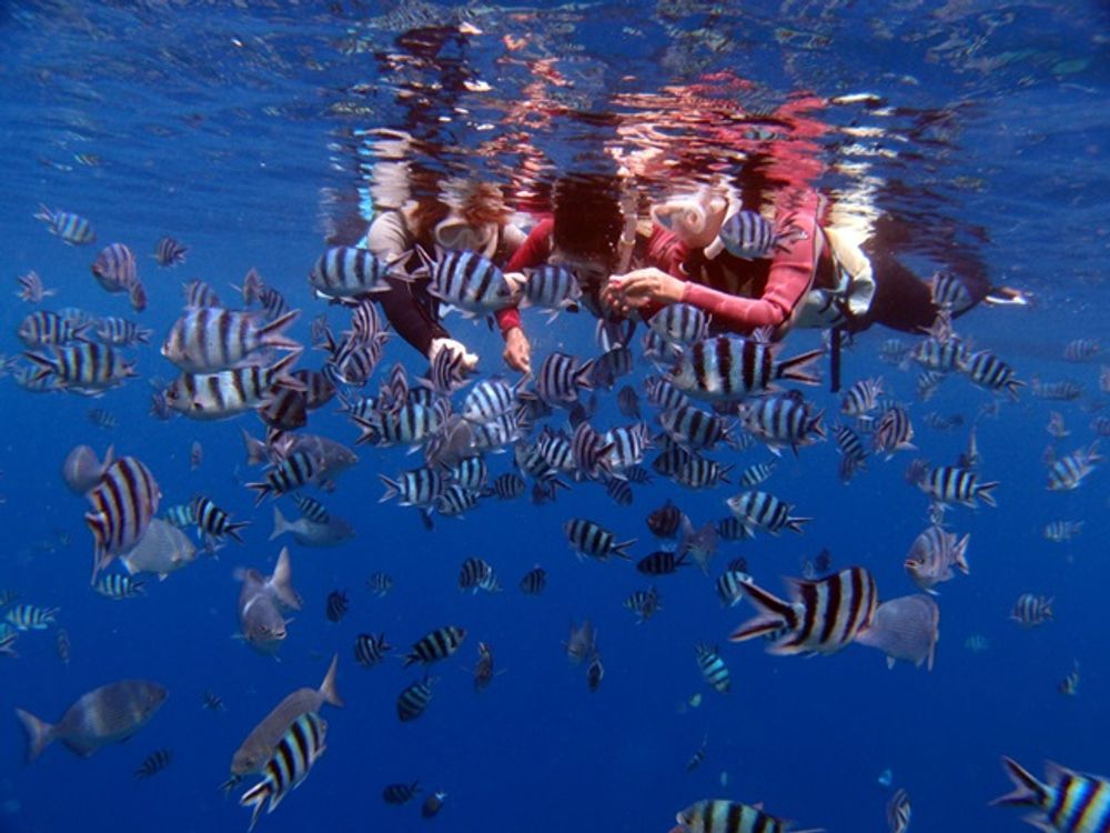 Underwater Snorkeling in the Blue Cave from Onna tours, activities, fun