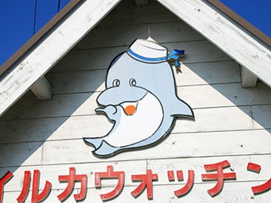 天草 イルカウォッチング　遭遇率98％！クルーズ船で野生のイルカに会いに行こう！当日朝まで予約受付中＜五和町＞ by イルカウォッチング受付予約センター