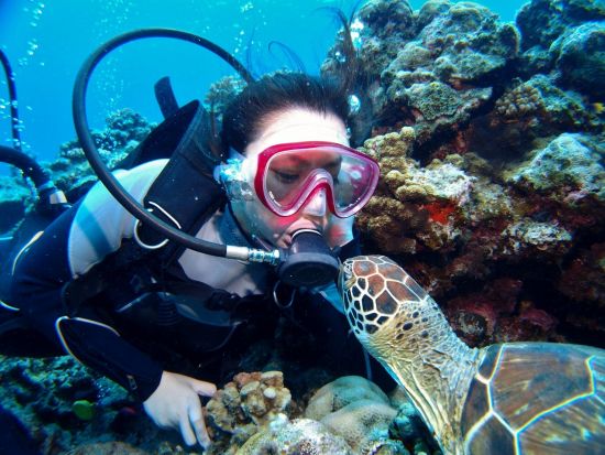 慶良間ファンダイビング 海を知り尽くした老舗のガイディングで慶良間ブルーへご案内 1名参加OK！ ＜1日／2ダイブ／那覇市内送迎無料＞