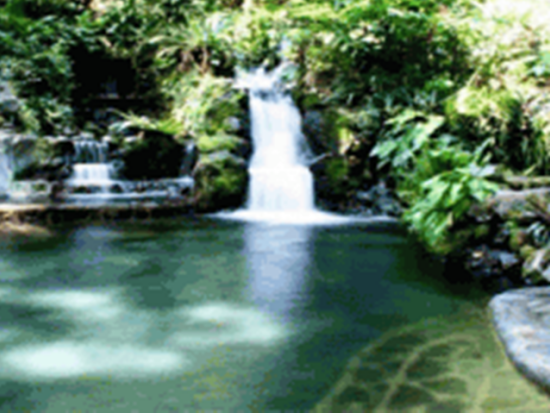 マニラ郊外ツアー　宮崎駿監督の映画のような世界が広がる☆ヒデンバレー温泉ツアー＜1日／ホテル送迎付き／日本語ガイド／昼食付き／貸切プラン有＞