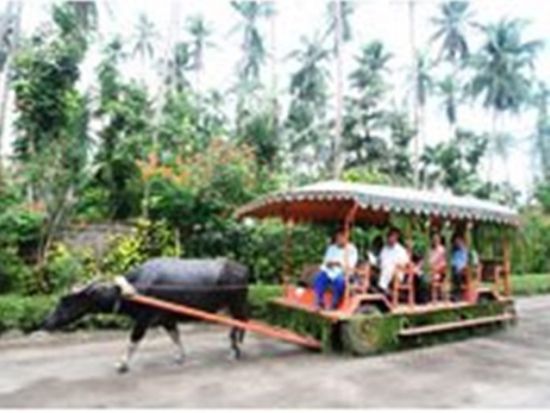 マニラ郊外ツアー　心洗われる避暑地へ！ ヴィラエスクデロツアー＜１日／ホテル送迎付き／日本語ガイド／昼食付き／貸切プラン有＞