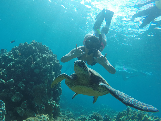 シュノーケリングクルーズ　西マウイの美しい海でクルージング＆シュノーケリング！オープンバーでの飲み放題付き♪＜軽食付き／午後／4～12月／英語ガイド＞