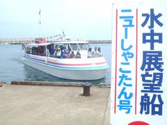 ニューしゃこたん号2