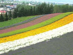 ファーム富田