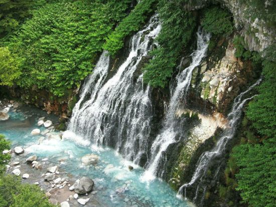 北海道観光タクシー　富良野・美瑛・旭川観光コース＜札幌・小樽・新千歳空港発＞by北海道 観光小樽個人生田タクシー