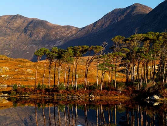 Connemara from Galway Full Day Tour
