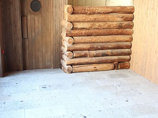 sauna_ph1