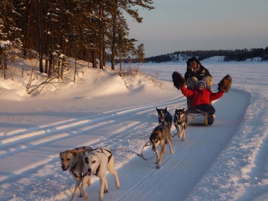 イエローナイフ オーロラ観賞ツアー　犬ぞりでオーロラ観測ロッジまでの雪道を疾走 ＜一晩／11～4月／日本語または英語ガイド／送迎あり＞