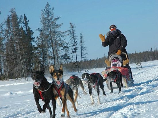 イエローナイフ オーロラ観賞ツアー　犬ぞりでオーロラ観測ロッジまでの雪道を疾走 ＜一晩／11～4月／日本語または英語ガイド／送迎あり＞