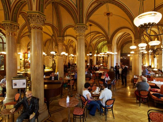 ウィーン在住ガイド厳選　カフェめぐり＆旧市街ウォーキングツアー ＜午前or午後／2時間30分／ティータイム付き／日本語ガイド＞