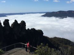 IMG_2022