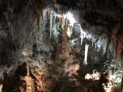 IMG_2022
