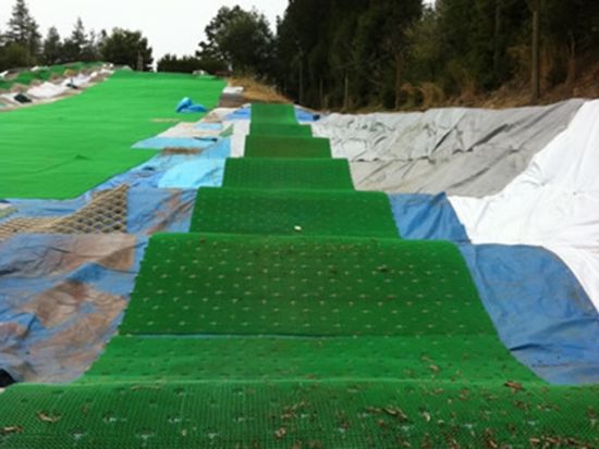 プラスノーゲレンデ 1年中ゲレンデでスキーが楽しめる[アスパイヤ/水戸市]