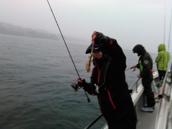 釣り体験 海の幸を豪快に釣ろう[海坊主Ⅴ/富山]
