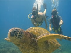 Hawaii_Maui_Excellence Charters_Aqua Adventure