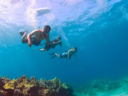 Hawaii_Maui_Excellence Charters_Snuba Diving
