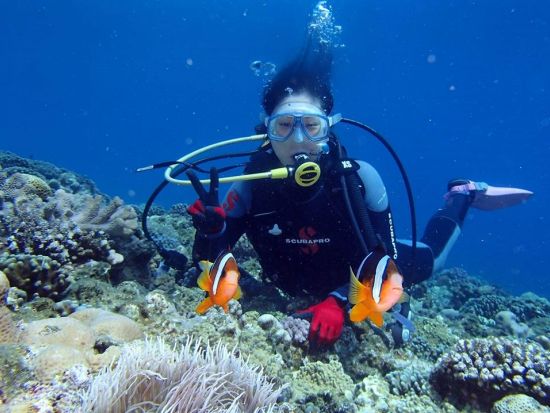 慶良間体験ダイビング　ウミガメ等が生息する3か所を巡るダイビング＆シュノーケリング1日コース＜1日／2ダイブ／那覇市内送迎無料＞