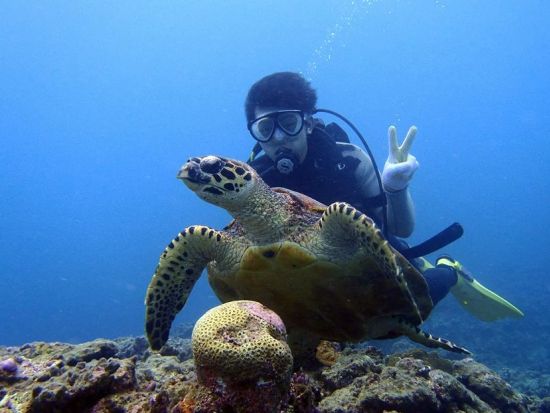 慶良間体験ダイビング　ウミガメ等が生息する3か所を巡るダイビング＆シュノーケリング1日コース＜1日／2ダイブ／那覇市内送迎無料＞