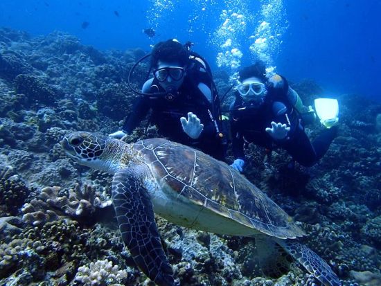 慶良間ファンダイビング　器材・ウェア一式レンタル込みだから気軽に参加　自社ボートは更衣室、トイレ、シャワー完備＜2～3ダイブ／那覇市内送迎無料＞