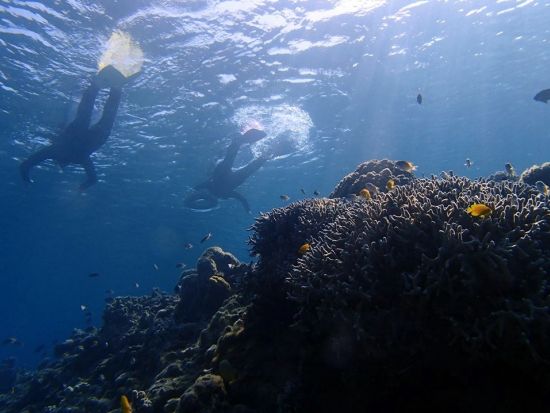 【那覇発】泳げなくてもOK！ボートで行く慶良間シュノーケル｜自社ボート開催