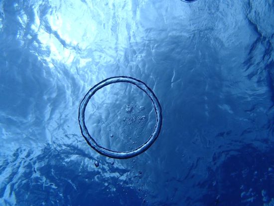 【那覇発】泳げなくてもOK！ボートで行く慶良間シュノーケル｜自社ボート開催