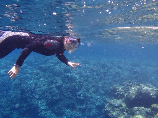 【那覇発】泳げなくてもOK！ボートで行く慶良間シュノーケル｜自社ボート開催