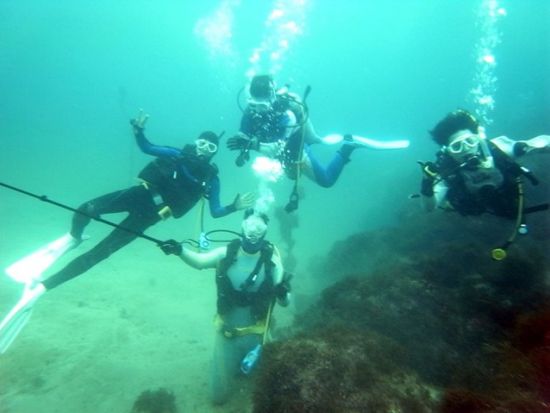 体験ダイビング 気軽にダイビングを体験しよう＜送迎付／埼玉発＞by ターダイブ インターナショナル