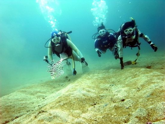 体験ダイビング 気軽にダイビングを体験しよう＜送迎付／埼玉発＞by ターダイブ インターナショナル