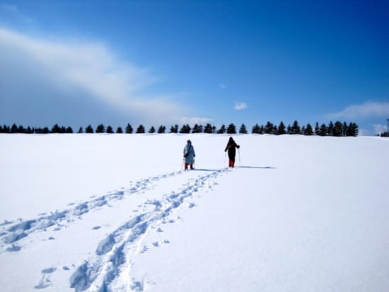 スノーシュー半日ツアー モエレ沼公園4時間コース イサム・ノグチの作品を遊ぼう！＜12～3月／札幌中心部送迎付／札幌市＞