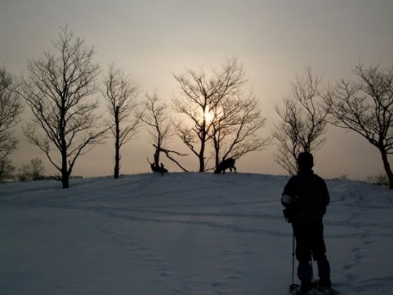 知床ガイド貸切ツアー 世界自然遺産の知床五湖を貸切でトレッキング＜半日／斜里町ウトロ発＞ by 知床のガイド屋 pikki