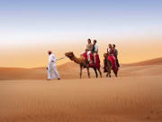 Dubai, Desert, Dinner, Safari, Camel Ride
