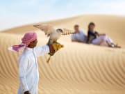 Dubai Desert Falconry