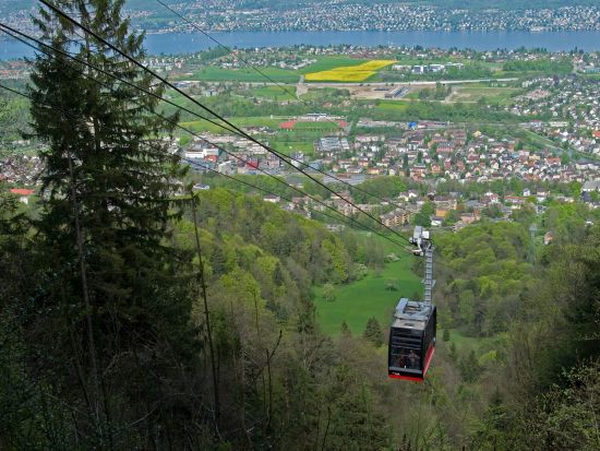 スイス最大の都市　チューリッヒ市内＆近郊 観光ツアー ＜英語ガイド＞