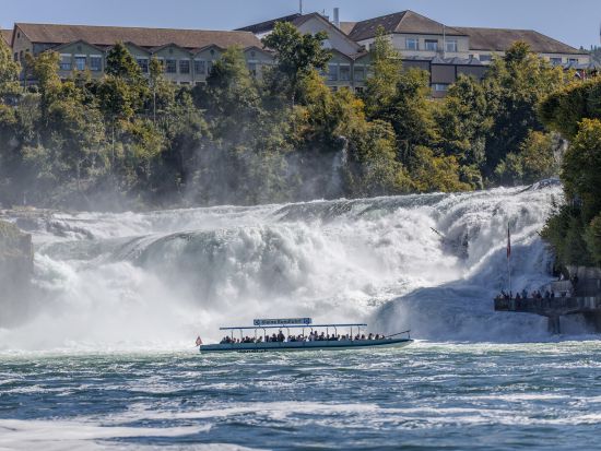 ヨーロッパ最大の滝　ライン滝 半日観光ツアー ＜チューリッヒ発＞