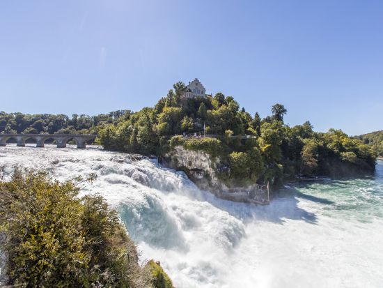 ヨーロッパ最大の滝　ライン滝 半日観光ツアー ＜チューリッヒ発＞