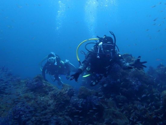 体験ダイビング 透明度の高い水中世界を覗いてみよう！[ジャーダイビングクラブ 水戸/水戸市]