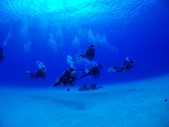 1日おためしダイビング　水中世界を覗いてみよう[ジャーダイビングクラブつくば店/つくば市]