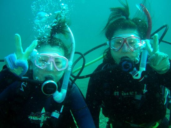1日おためしダイビング　水中世界を覗いてみよう[ジャーダイビングクラブつくば店/つくば市]