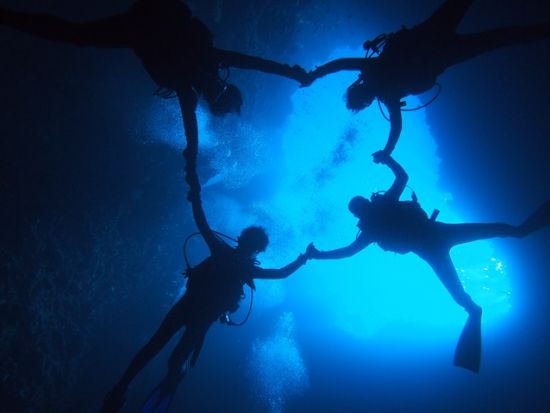 1日おためしダイビング　水中世界を覗いてみよう[ジャーダイビングクラブつくば店/つくば市]