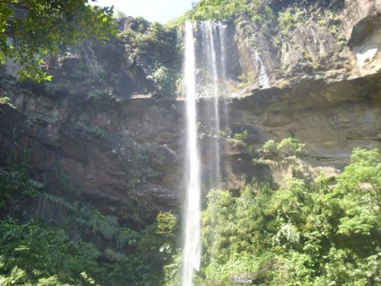 西表島マングローブカヌー+ピナイサーラの滝ツアー　バラス島周辺でのシュノーケリングもあり！＜昼食付き／上原地区送迎付き／西表島発＞