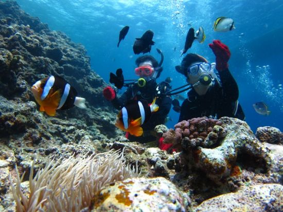 慶良間体験ダイビング　専属インストラクターのサポートで安心　水中写真プレゼント！　シュノーケリングも同時に楽しめる別プランもあり ＜1日／2～3ダイブ／北谷発＞