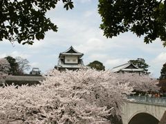 雪の兼六園徽軫灯籠