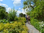 Beatrix Potter - Hill Top Gardens