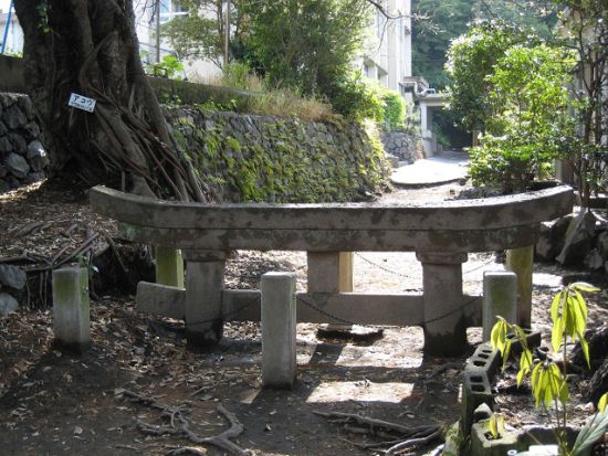 霧島市内発着貸切観光タクシー　南九州　桜島をとことん満喫するコース＜5時間＞ by 旭交通タクシー