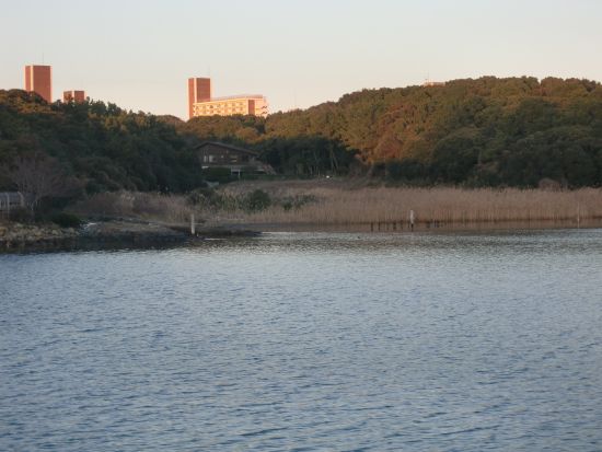 【ファミリー貸切】貸切屋形船 子供も楽しめる「マリンキッズ」＜大人10名～／大田区＞