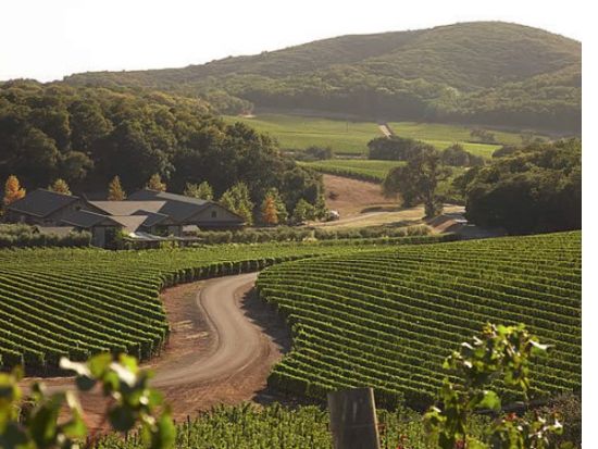 ナパ＆ソノマバレー ワイナリーツアー　ワインに精通した日本語ガイドがご案内 ＜貸切＞